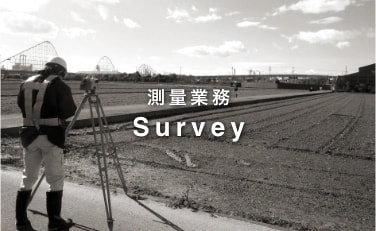 測量業務 Survey